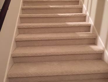 Hals Carpet & Vinyl Project