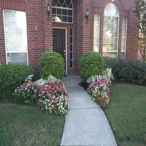 Sod job flowers & mulch