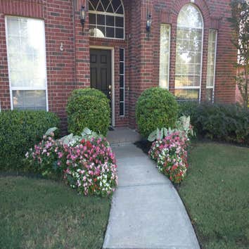 Sod job flowers & mulch