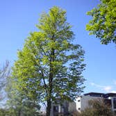 Workgrove Landscape, Inc