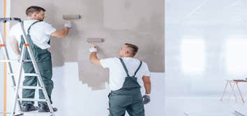 Pro Naperville Painters