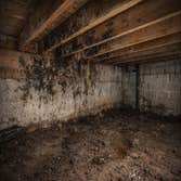 Mold Removal Hampton