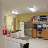 Dansville Animal Hospital Project