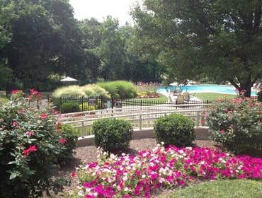 Photos from Promark Landscaping Inc