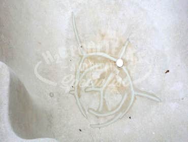 Photos by H20 Pool Leaks & Repair Specialists #12