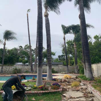 Lorenzo Tree Service