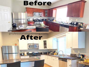 Photos by Professionals Painting #1