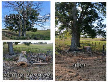 Photos by Neighbor Tree Service & More LLC #2