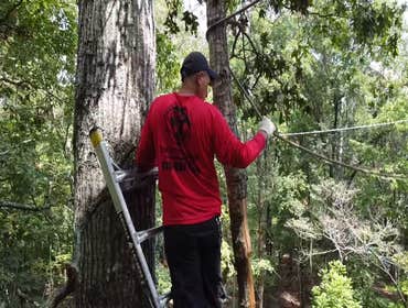 Photos by R Lasawi Tree Service LLC #3