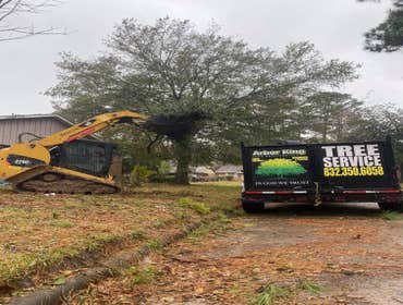 Photos by Arbor King Tree Service LLC #1