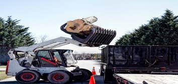 Tree Stump Removal