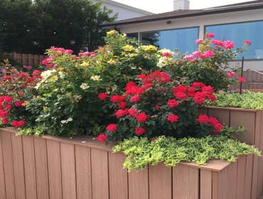 Photos from Donnas Garden Creations