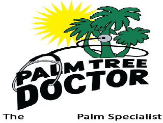 Palm Tree Doctor Project