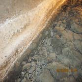 Mold Inspection and Removal in LA