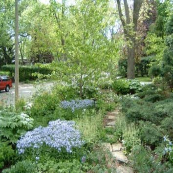 Urban Habitat Gardens Although most of us live in an urban environment, there is no need for us to settle for a sterile landscape of turf grass accente