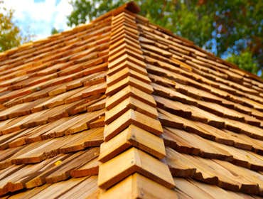 Photo(s) from All Craftsmen Exteriors LLC