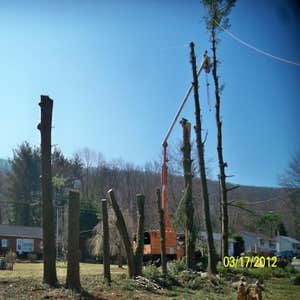 Project photos from Kendall Lawn And Garden Services Tree jobs in the Hazleton area