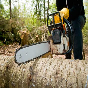 Photos by Maryland Tree Service #1