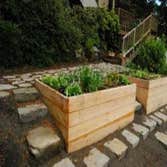 Back And Side Yard Garden