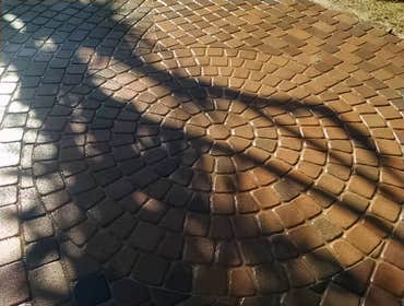 Photos from Pool Service & Maintenance Professionals