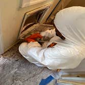 Mold Remediation