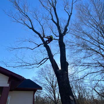Jl Tree Service