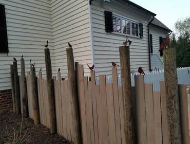 Photos by Image Fencing, Inc #1