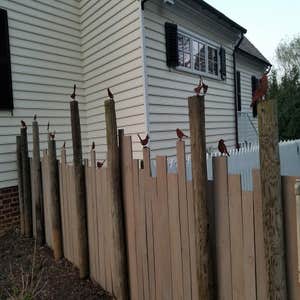 Photos by Image Fencing, Inc #1