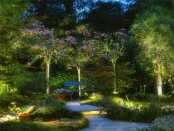 Landscape Lighting