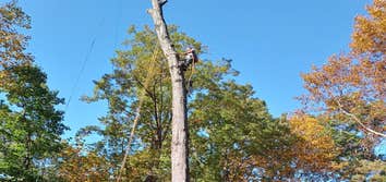 Burke Tree Services