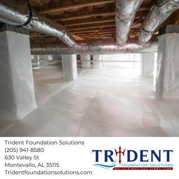 Photos by Trident Foundation Solutions #1