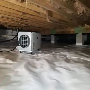 Alta Pest Control