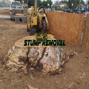 South Coast Stump Removal