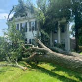 Photos by ALX Tree Services LLC #1