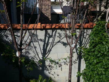Photo(s) from Naba Construction Company