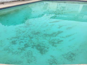 Swimming Pools