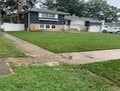 Ground leveling and Sod installation