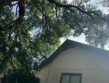 Photos by Naranjal Tree Service LLC #5