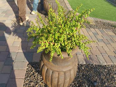 Photos by Artesians Pavers Inc #1