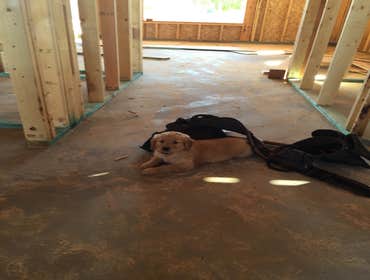 Photo(s) from D And M Advanced Framing