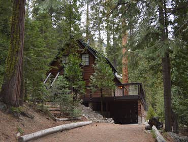 Photos by Sierra Cedar Corp #1