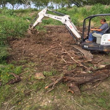Photos from South Texas Tree of Life Tree S.Tx Tree of Life Tree Service