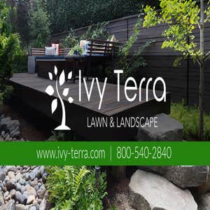 Ivy Terra Landscaping