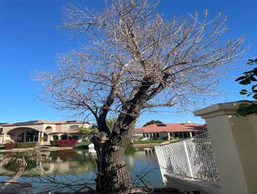 Photos by Valley View Landscape LLC #3
