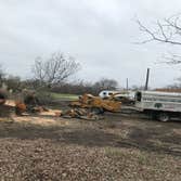 Excellent Prices Tree Services