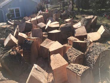 Photos by Don Cele Landscaping #1