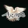 Agape Construction Renovation Inc logo