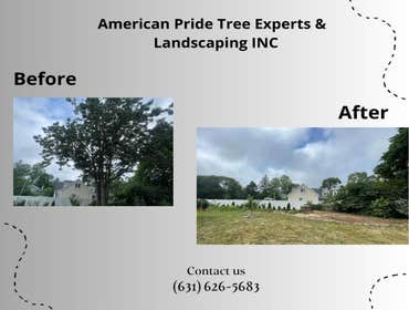 Photos by American Pride Tree Experts & Landscaping Inc #60