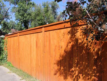 Cedar Fence