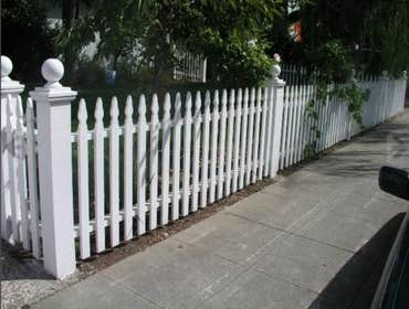 Photos from Ben Ruiz Tree And Landscaping Contractor